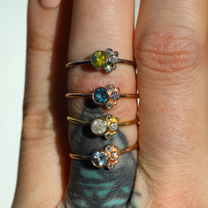 Flora ring: 14K cluster ring (24 gemstone options)