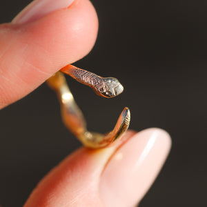 Antioch snake ring (multiple options)