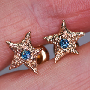 Dream star: 14K yellow gold & parti sapphire earrings